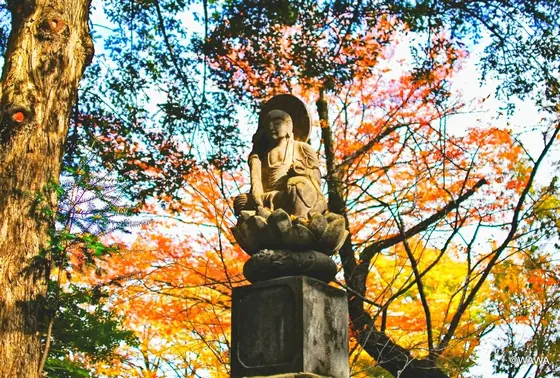 九品山 浄真寺