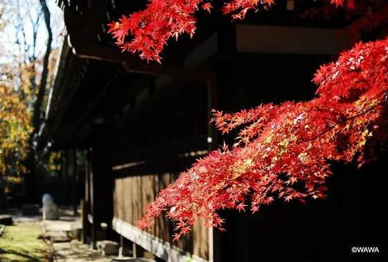 世田谷山観音寺