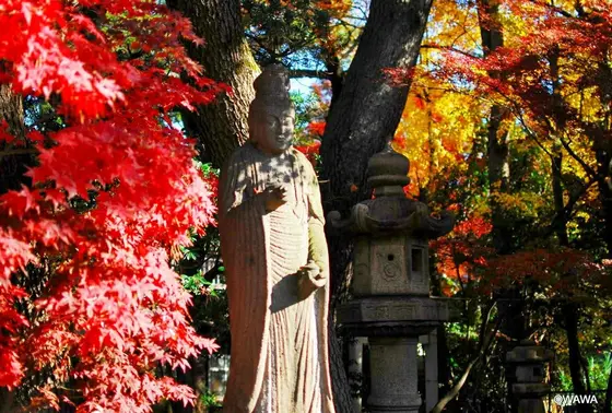 世田谷山観音寺