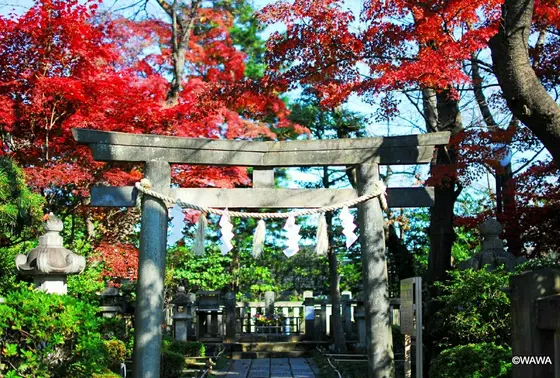 松陰神社