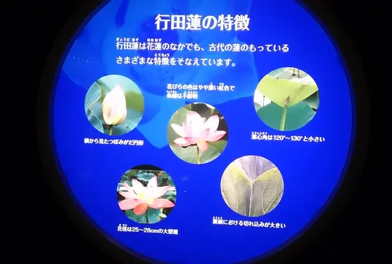 資料館になっている