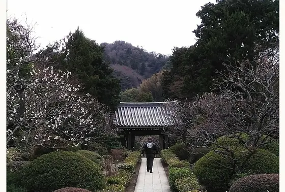 日当たりが良いのか、終わりに近い感じでした。