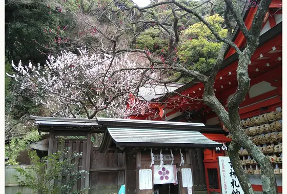 真っ赤な建物に梅が…