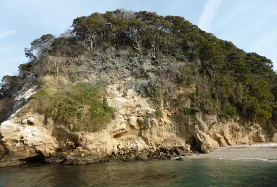 猿島