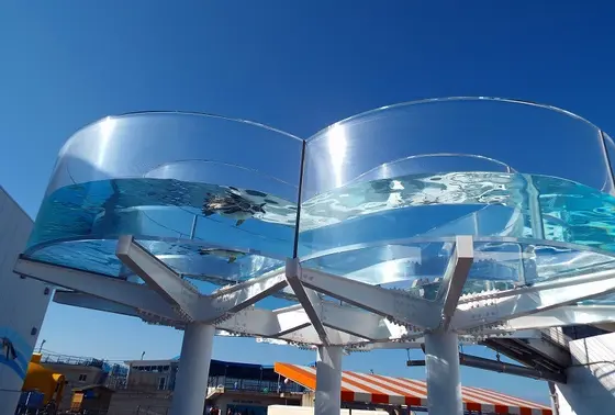 ペンギンプール