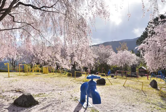 遊具のある公園