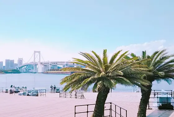 ヤシの実とレインボーブリッジで一気に夏感が出ます！