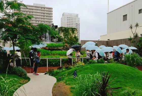 無料貸出し傘があるから雨でも安心