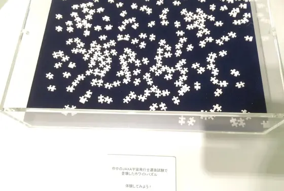 真っ白なジグソー