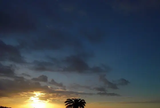 名護の海