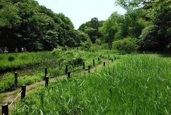 路傍植物園