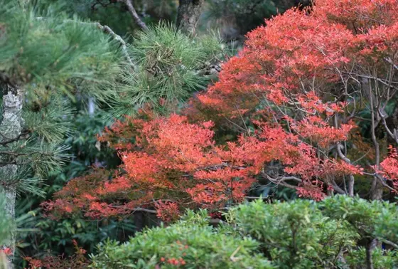 松籟庵
