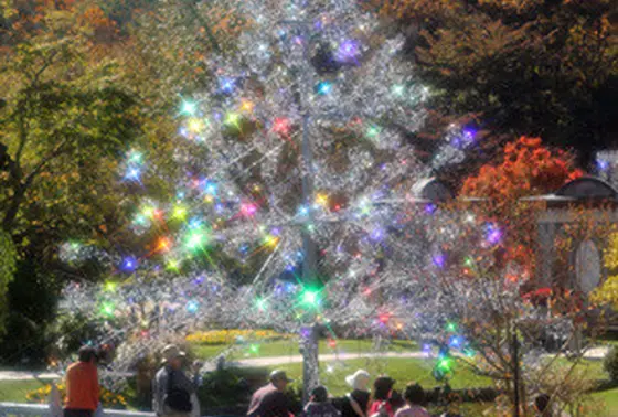 一生に一度はみておきたいクリスマスツリー2位！