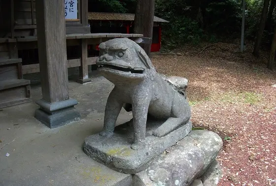 阿行