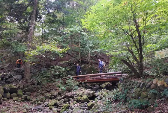 整備された遊歩道