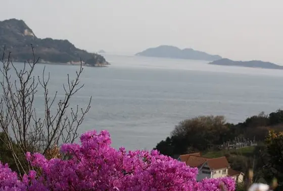 『上から下へ』