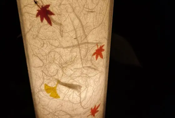 紅葉のライト