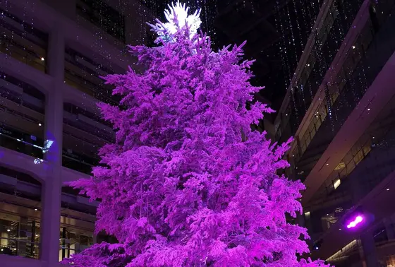 ツリー✨🎄✨