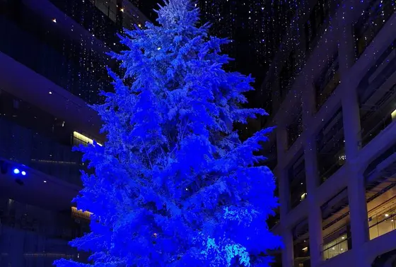 ツリー✨🎄✨