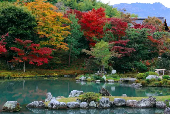曹源池庭園