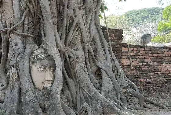 ワット・プラ・マハータート