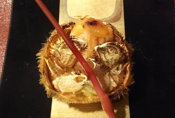 どれも新鮮で、、
