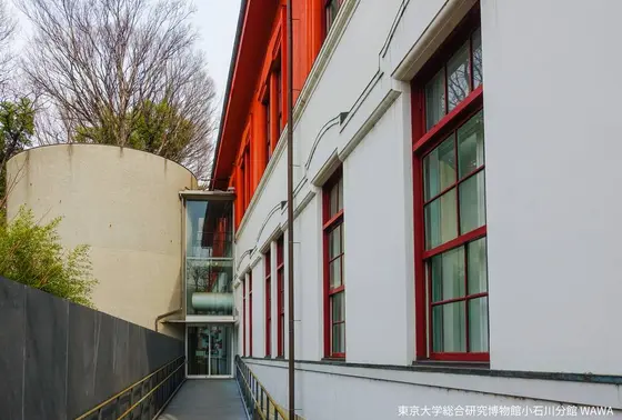 東京大学総合研究博物館小石川分館