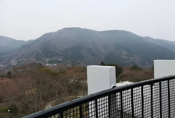 階段を上りきると展望台