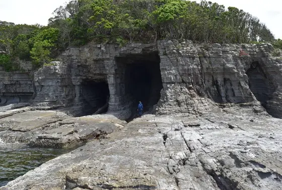 鳥毛洞窟