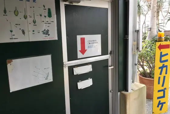 地味にオススメ！