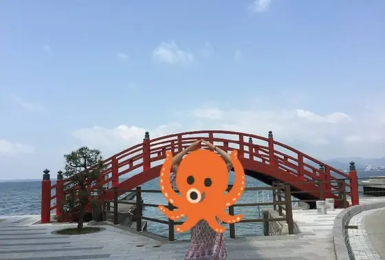 急だけど渡れる