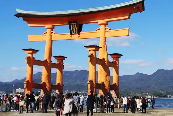 近くまで歩いて大鳥居に触れましたヽ(*´▽)ノ♪