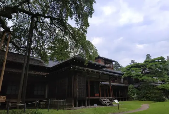 樹齢400年の桜