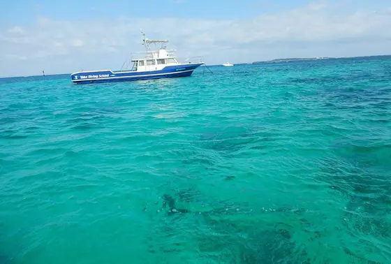 海