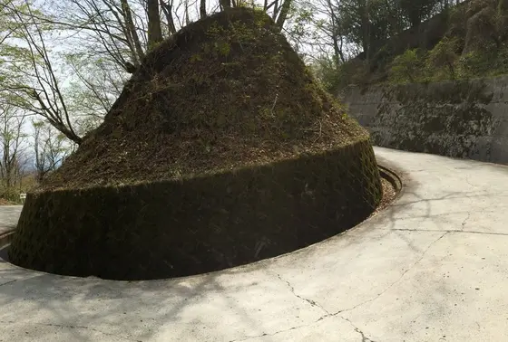 このワインディングがたまりません。見事な巻貝