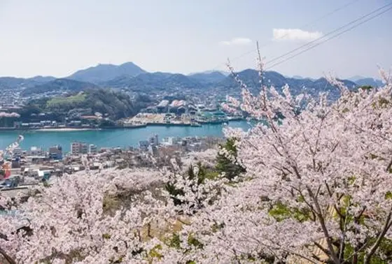 ”さくらの名所100選”に選出
