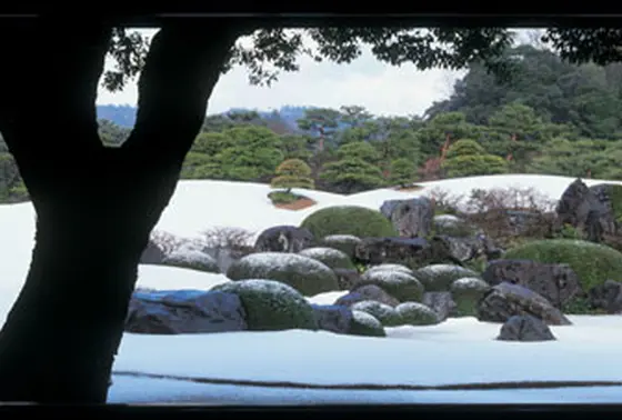 冬の風景