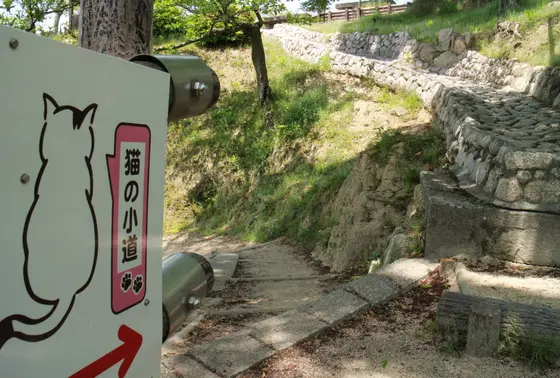 猫の小道