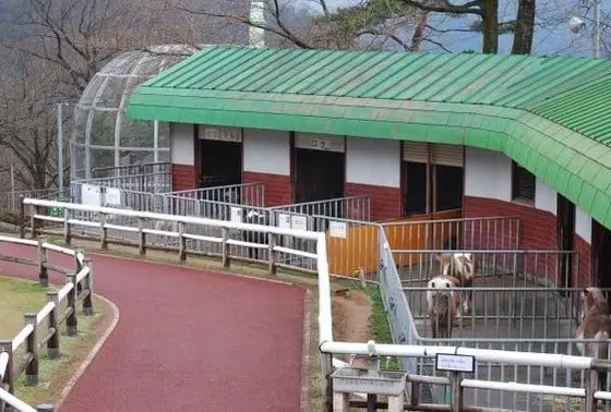 ミニ動物園