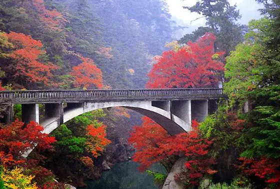 長瀞橋（ながとろばし）