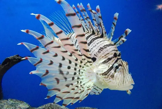 水族館本館