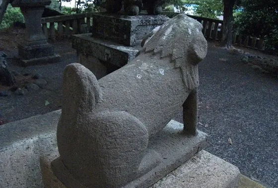 尻尾