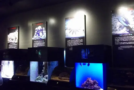 危険生物