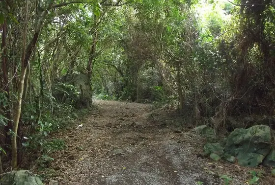 大城御嶽