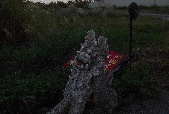 野良シーサー