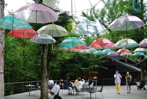 梅雨時期ならでは