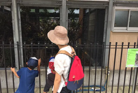 10数種類の動物たち