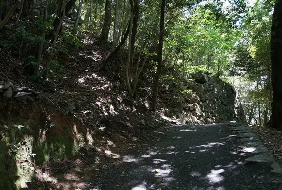 「山道」を進む