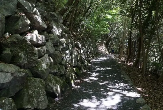 石垣ごろごろ
