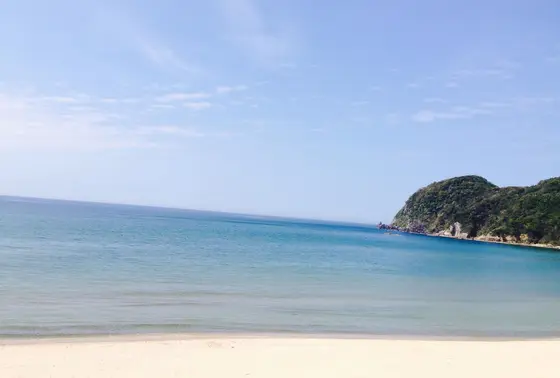 写真その1